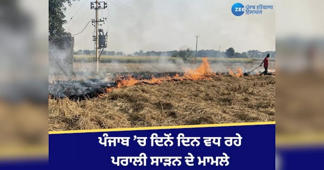 Punjab Stubble Burning: ਪੰਜਾਬ ਚ ਖੇਤਾਂ ਨੂੰ ਅੱਗ ਲੱਗਣ ਦੇ 345 ਨਵੇਂ ਮਾਮਲੇ ਆਏ ਸਾਹਮਣੇ, ਕੁੱਲ ਗਿਣਤੀ 6500 ਤੋਂ ਪਾਰ