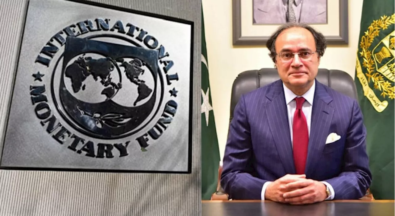 Finance minister briefs IMF team on economic headway