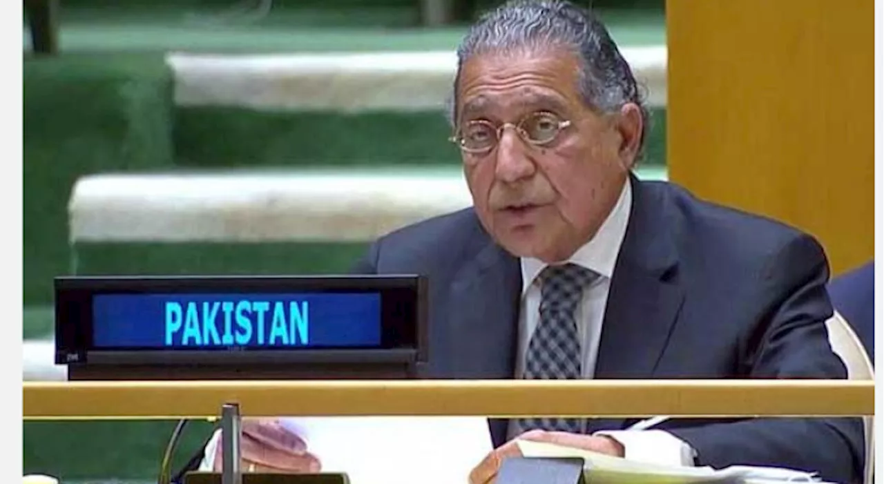 Pakistan opposes additional permanent seats in UN Security Council