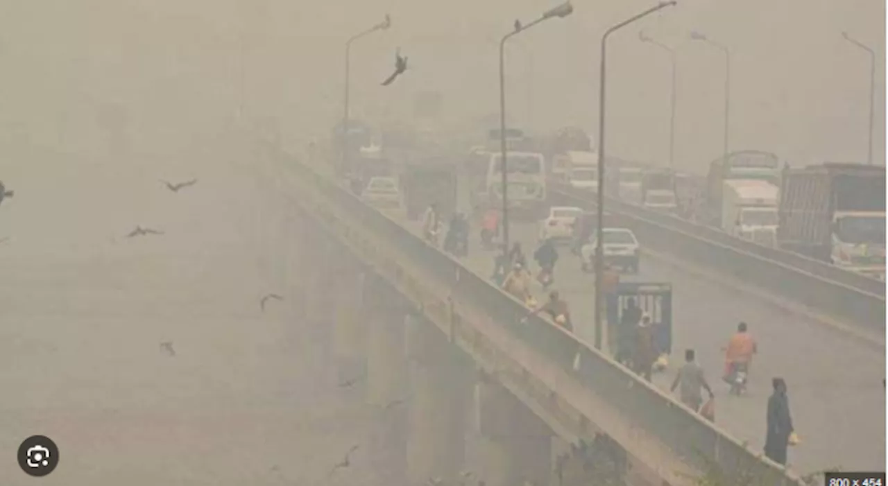 Smog to persist in Punjab cities in November and December, warns NDMA