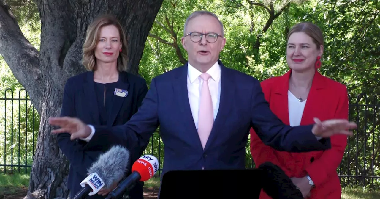 'Shame': PM Anthony Albanese heckled by protesters during press conference in Tasmania