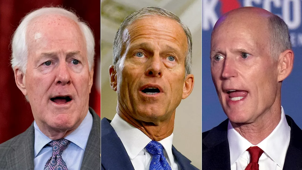 Thune, Cornyn and Scott to make their case for next Republican Senate leader