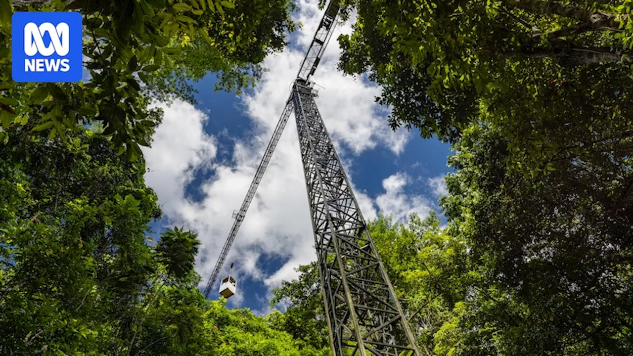 James Cook University considers closing Daintree Rainforest Observatory and canopy crane