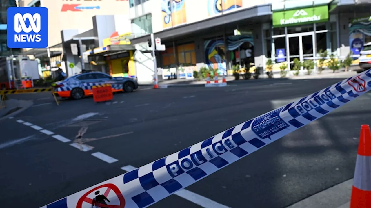 Police had warnings about Westfield Bondi Junction killer's behaviour before mass stabbing, coroner's court told