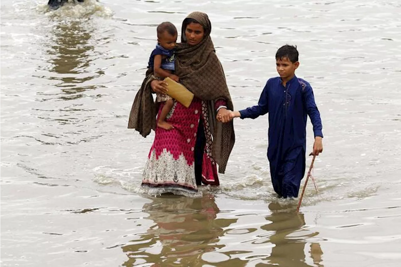 Cop29, dal 2025 gli aiuti del fondo 'loss & damage'