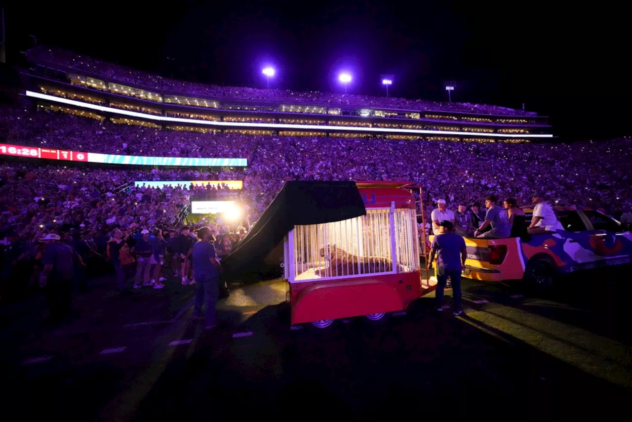 Louisiana Gov. Jeff Landry takes shot at LSU players after Alabama loss, defends live tiger