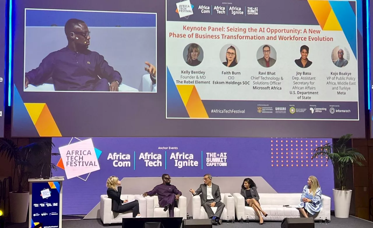 Africa: 'AI is No Panacea, But If It Can Help With Africa's Challenges, We Should Be Open-Minded'