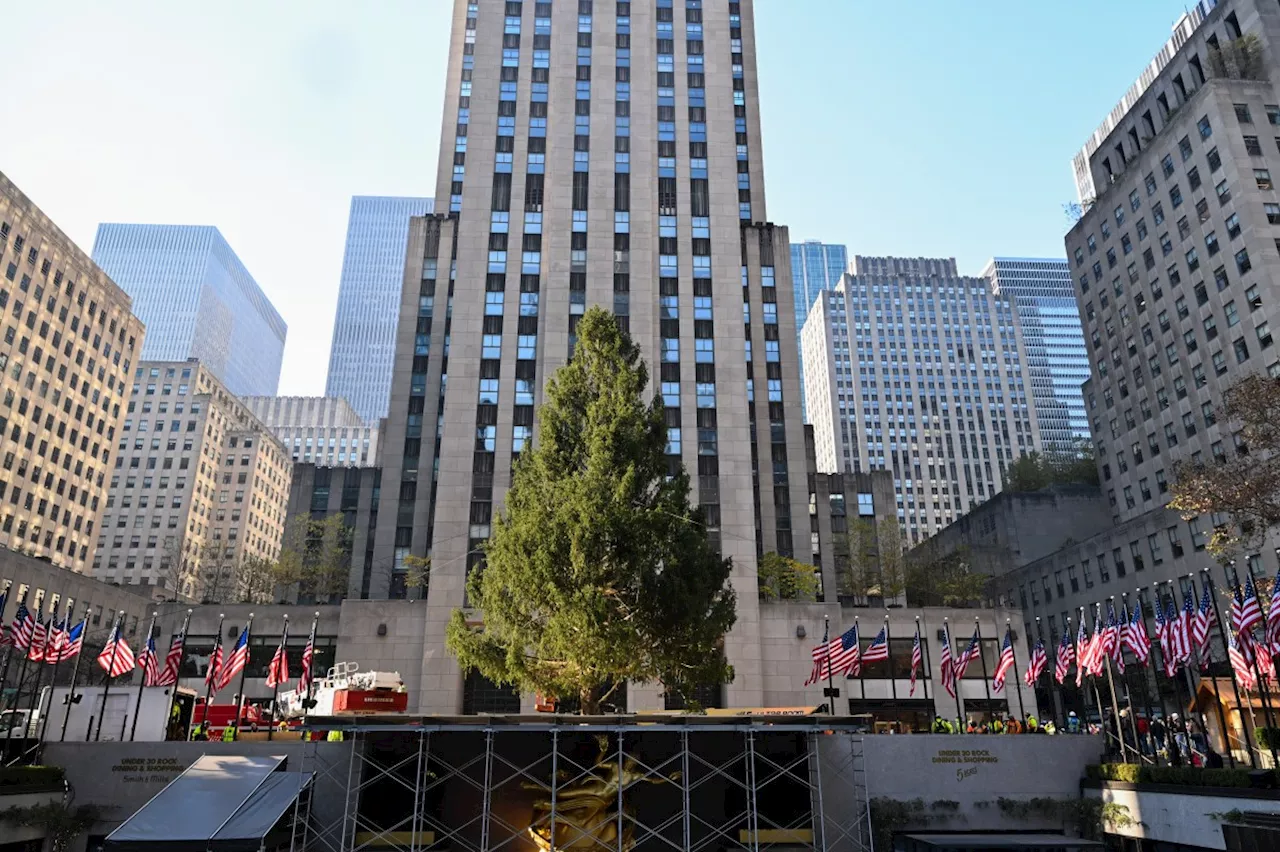 Rockefeller Center Christmas Tree arrives in NYC