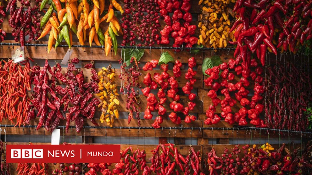 Nutrición: ¿aportan realmente beneficios para la salud las especias como el chile o la cúrcuma?