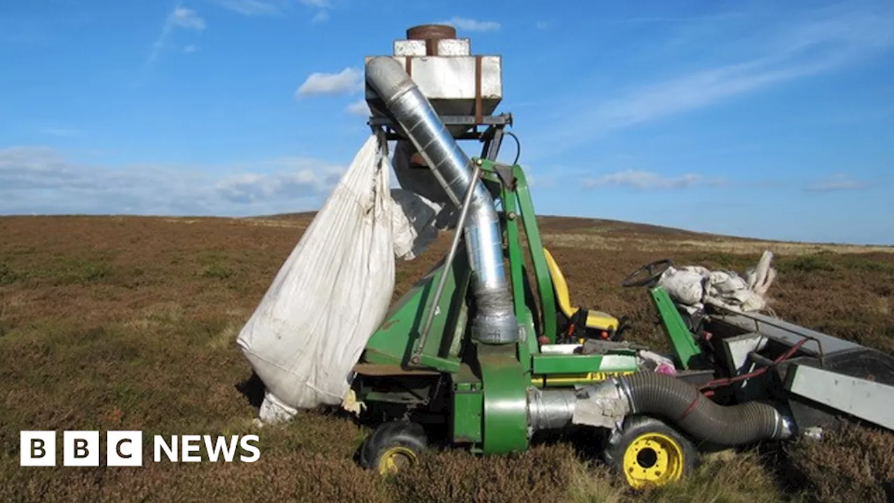 National Trust harvested heather without proper consent