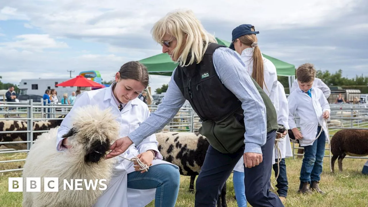 Tockwith Show to return for 2025 after being cancelled this year