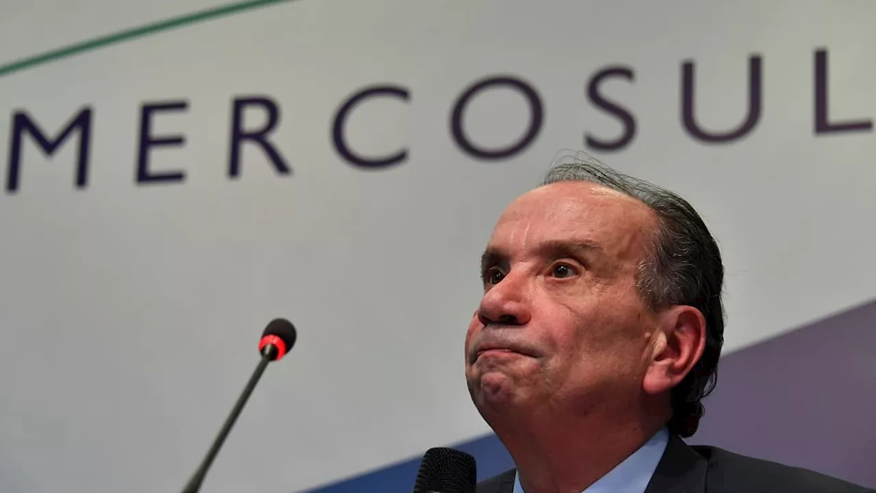 'UE-Mercosur', le traité mal-aimé de la France