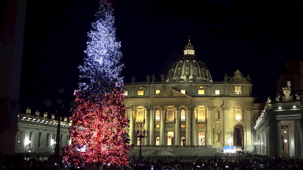 Papst Franziskus: Protest gegen seinen Weihnachtsbaum auf Petersplatz