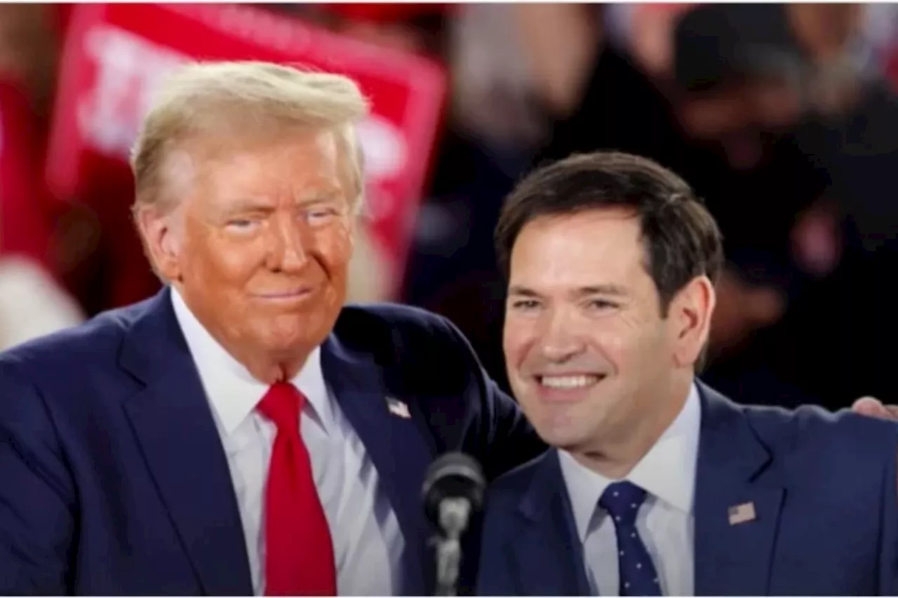 Trump makes new appointments, Rubio tipped for secretary of state