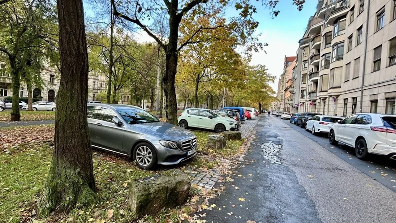 Streit in Fürth: Anwohner wollen Parkraum statt Platz für Bäume