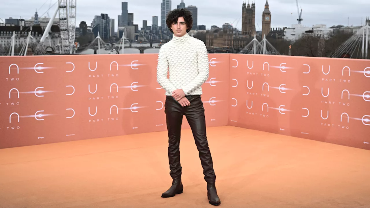 Timothée Chalamet conta que foi rejeitado em testes por seu corpo