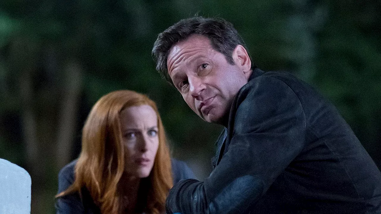 David Duchovny reveals 'failure of friendship' with The X-Files co-star Gillian Anderson amid...