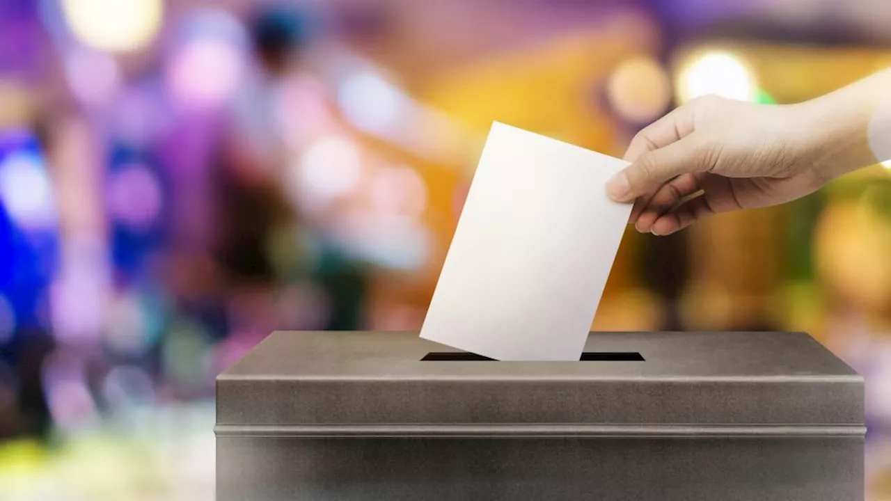 Open call for candidates for PEO’s 2025 council elections