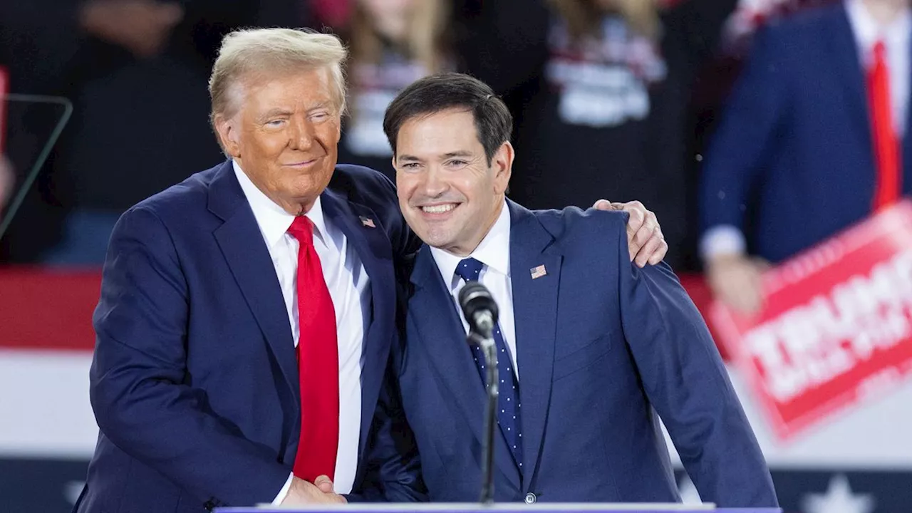 Posten in neuer US-Regierung: Trump will offenbar Marco Rubio als Außenminister und Mike Waltz als Sicherheitsberater