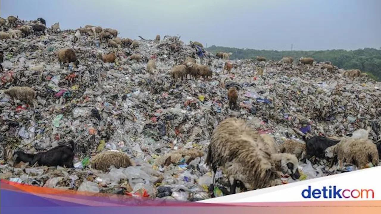 Ngeri! Bahan Kimia pada Plastik Terbukti Merusak Sel Kelamin Hewan Ini