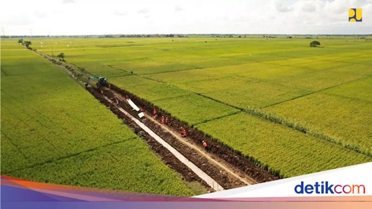 Pemerintah Siapkan 3 Juta Ha Lahan buat Swasembada Pangan