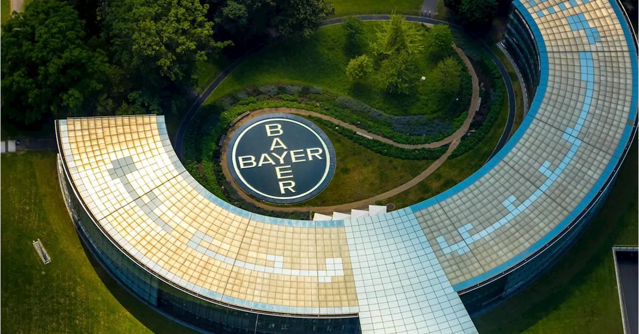 Pharmariese Bayer: Milliardenverlust und Aktie auf Tiefpunkt