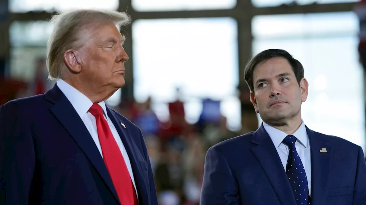 Donald Trump planea elegir a Marco Rubio como secretario de Estado