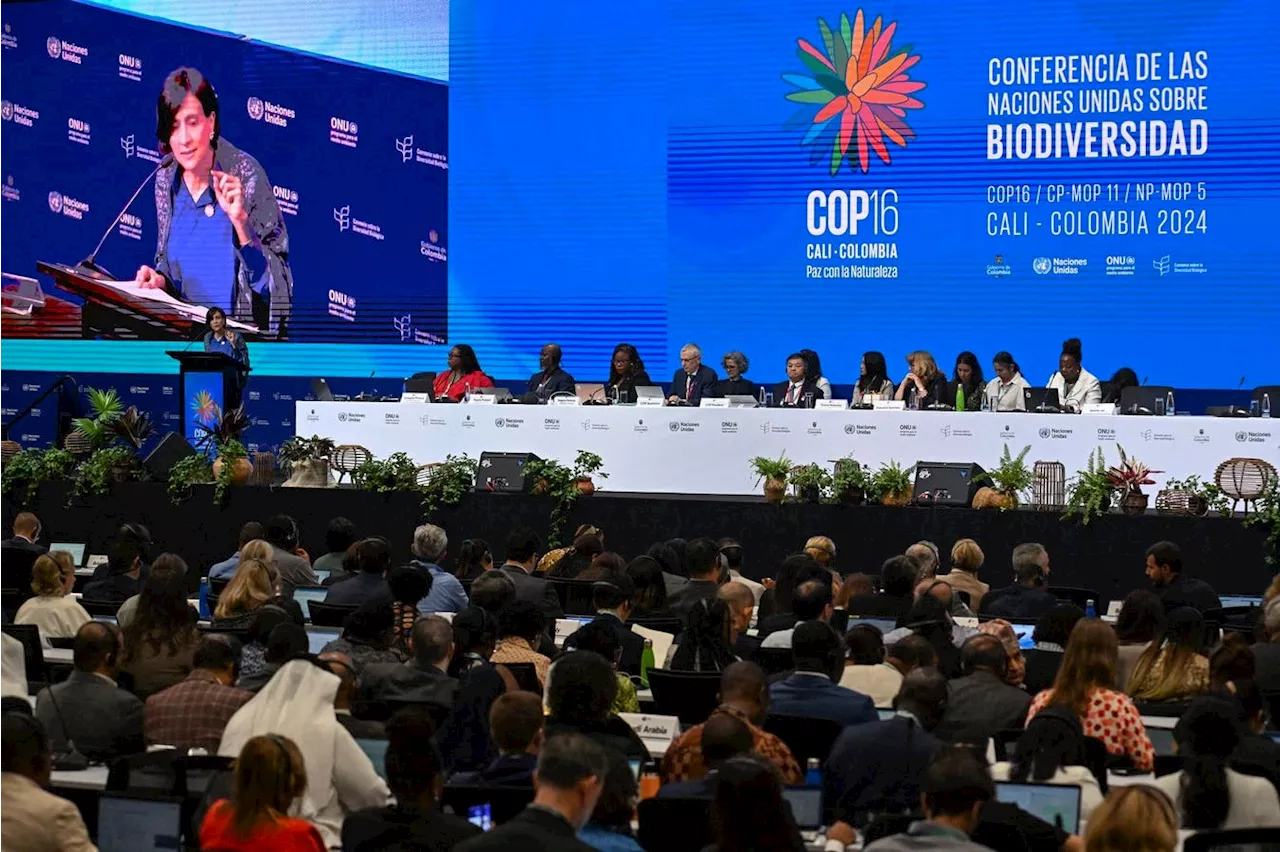 Nature Funding Falls Short At COP16. Now What?