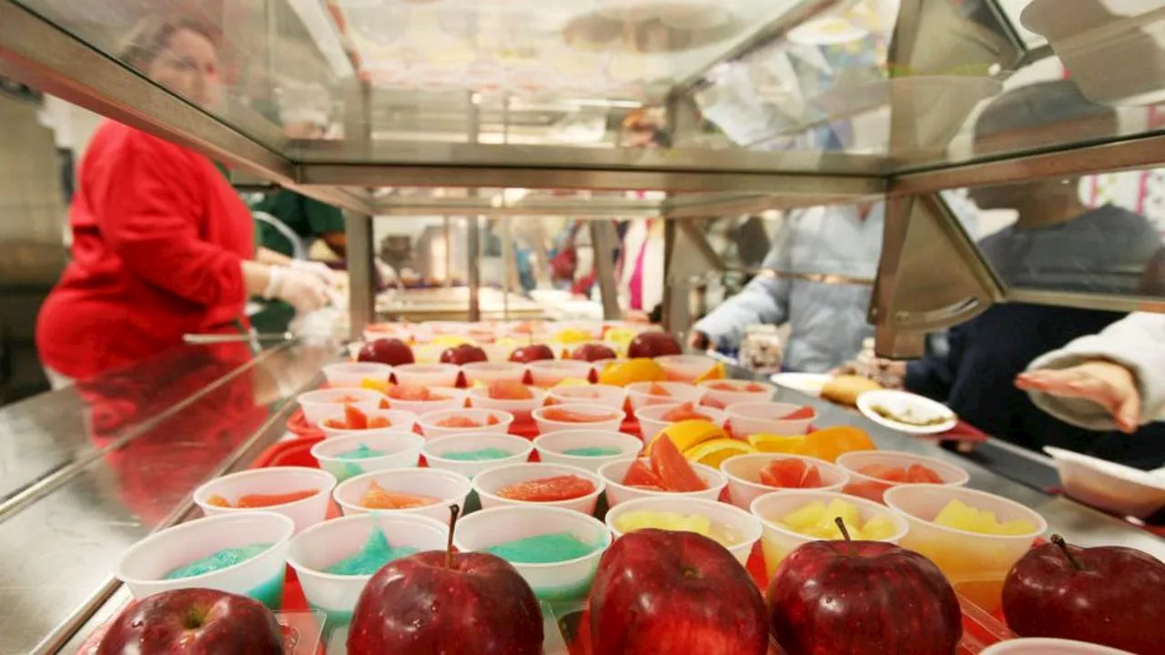 USDA to halt school lunch processing fees for low-income families