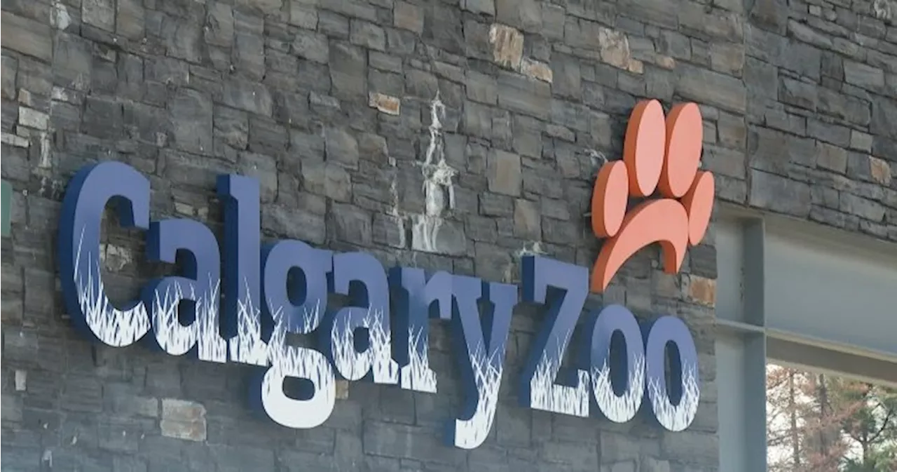 Gorilla unexpectedly passes away at Calgary Zoo