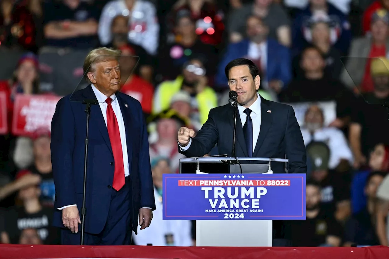 Trump expected to tap U.S. Senator Marco Rubio for secretary of state