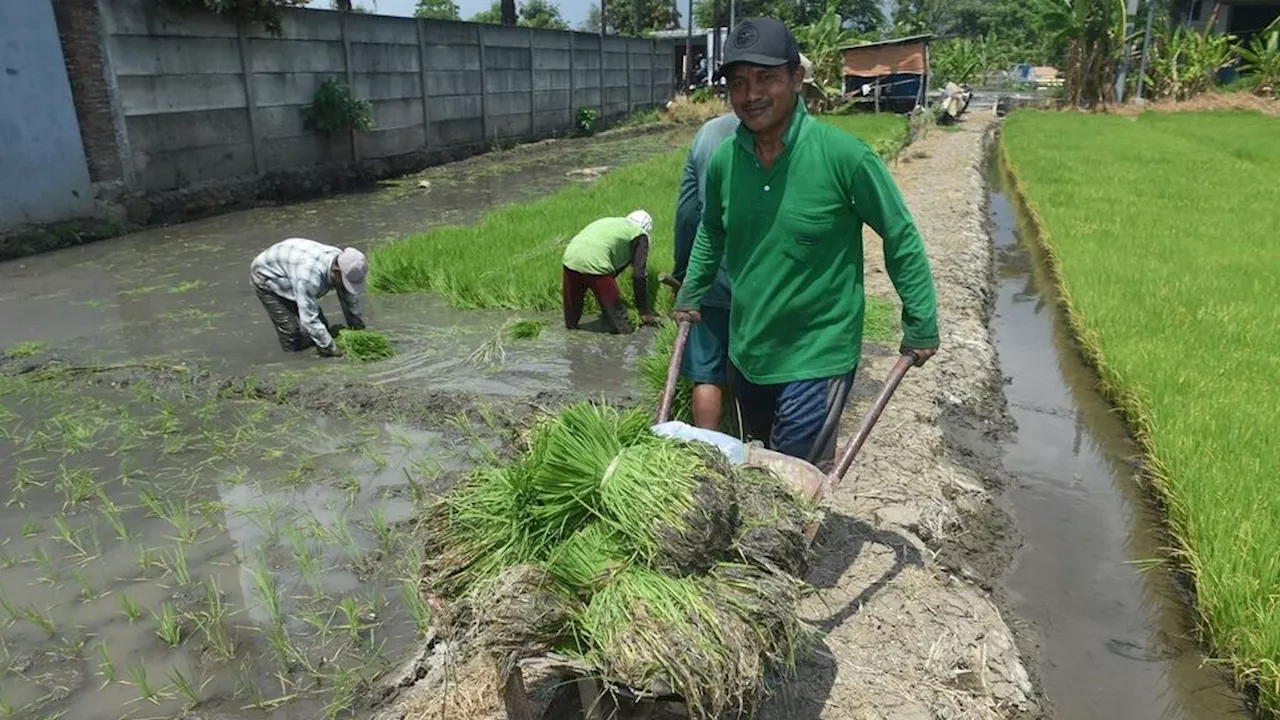 Pilkada Jatim, Menyelami Komitmen Paslon Gubernur untuk Petani, Nelayan, dan UMKM