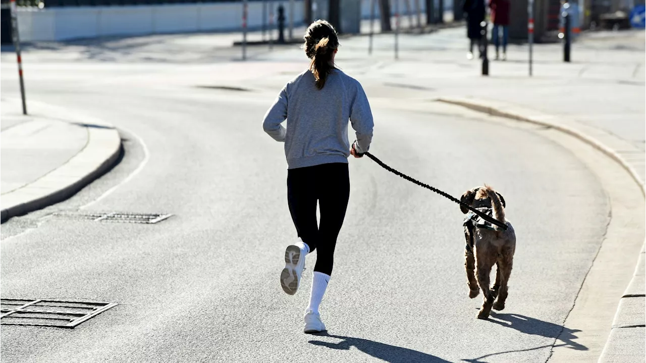 Feinstaubbelastung in Wien - Nicht Joggen gehen – Experte warnt vor Zeit im Freien