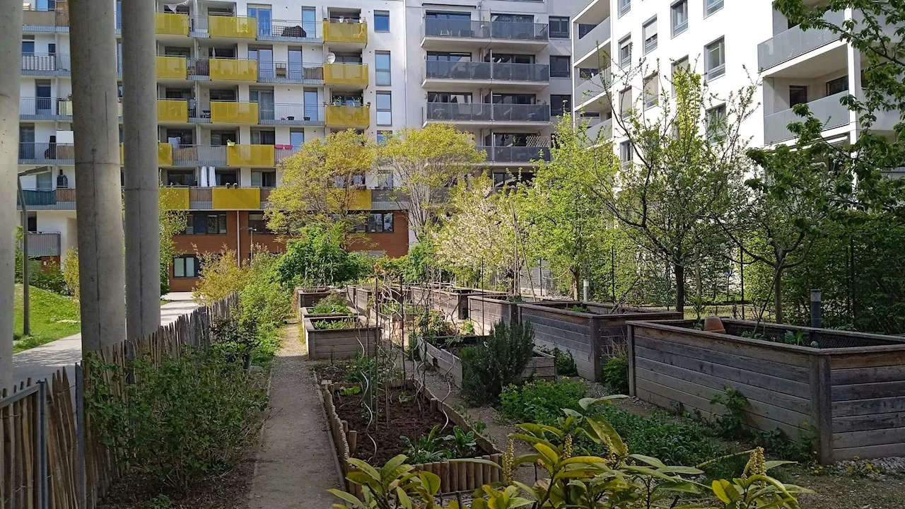 Heute For Future-Award 2024 - Mehr Wohlbefinden durch mehr Biodiversität