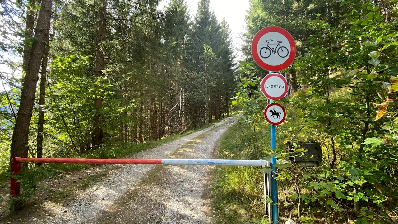 Todes-Drama in Wald – Steirer von Seilwinde erdrückt