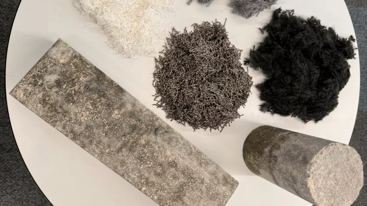 Carpet waste makes concrete crack-proof, boosts strength by 40% — Aussie engineers