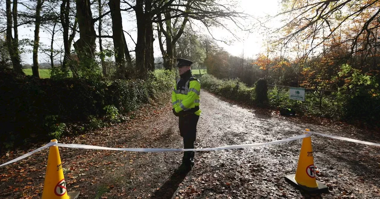 Search continues at Wicklow border as part of Jo Jo Dullard murder investigation