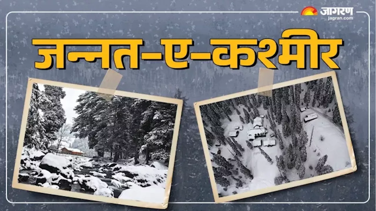 वाह! धरती का स्वर्ग कश्मीर... बर्फबारी में सफेद चादर से ढकी वादियां, जन्नत का एहसास कराती हैं ये दिलकश तस्वीरें