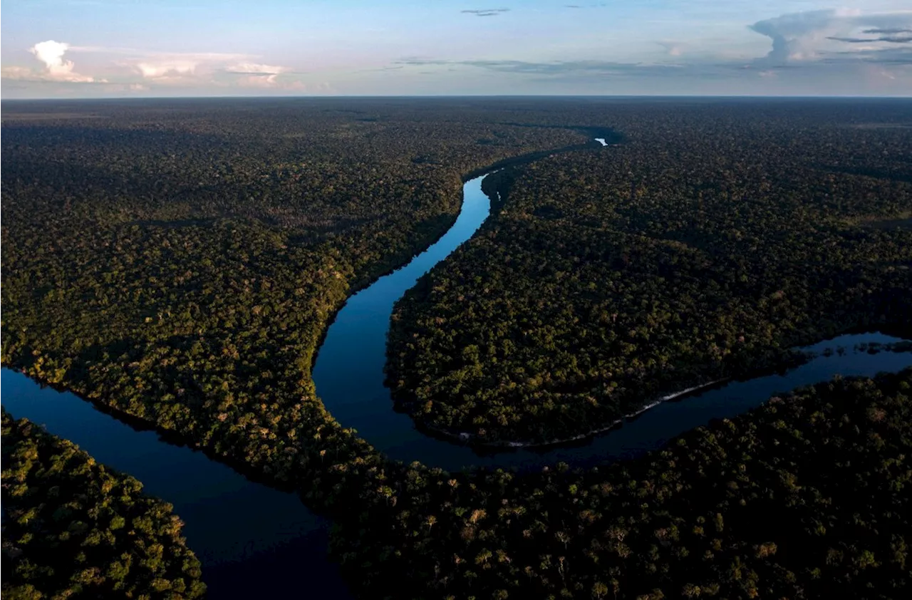 É positivo o avanço dos mercados de créditos de carbono