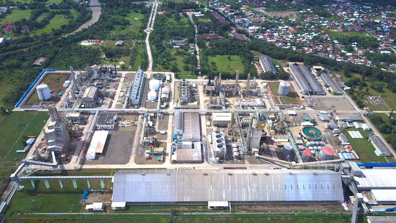 Pupuk Indonesia: Proyek Hybrid Green Ammonia Pertama Dunia Akan Dibangun di Indonesia