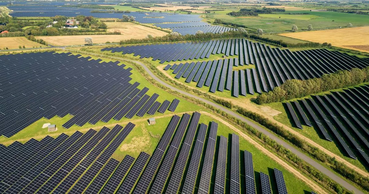 Solceller må gerne sættes op i grønne landskaber, men på havnenes lagerhaller er det forbudt