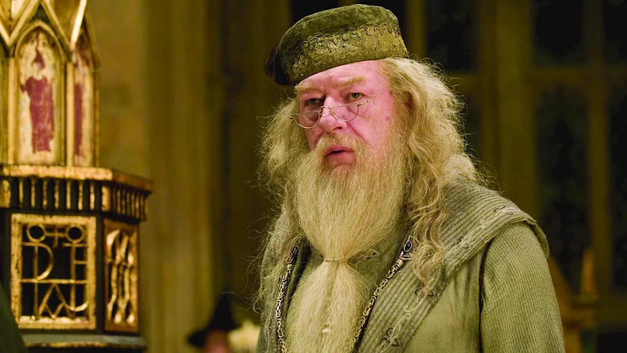 Fantastische Wahl: Hollywood-Größe soll Dumbledore in „Harry Potter“-Serie spielen