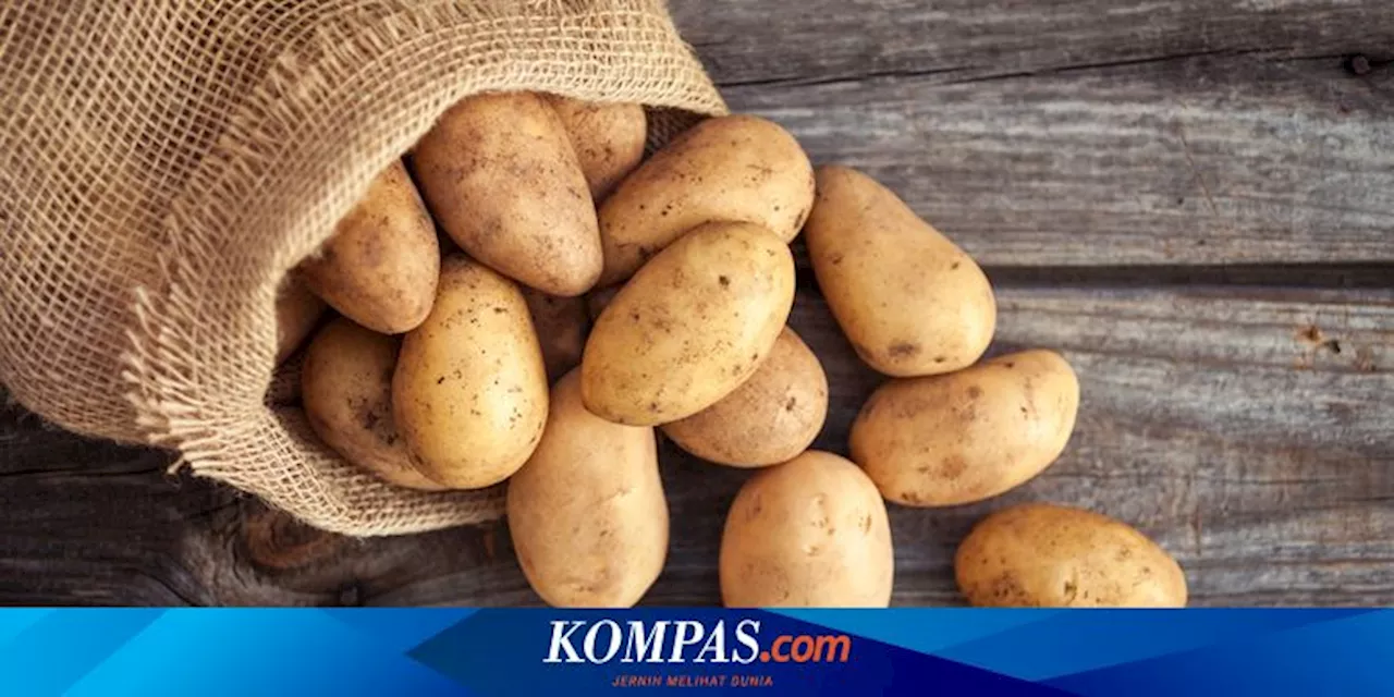 Jangan Simpan Kentang di Kulkas, Munculkan Senyawa Pemicu Kanker