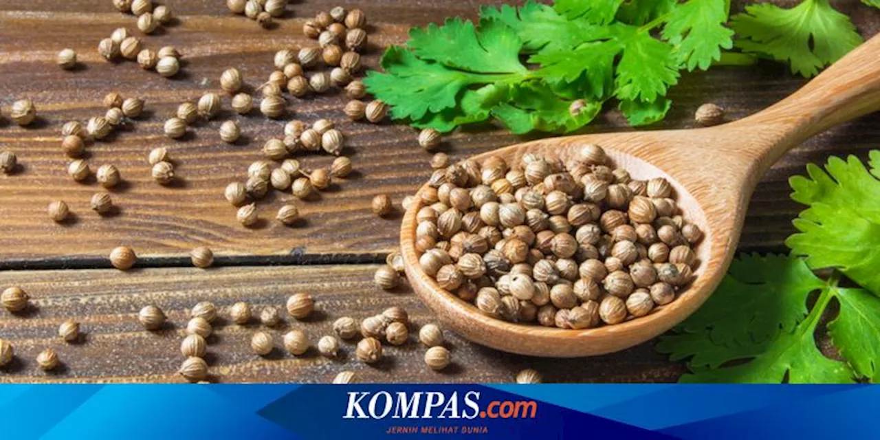 Manfaat Ketumbar, Minum Air Rebusannya Bisa Mengatasi Penyakit Apa?