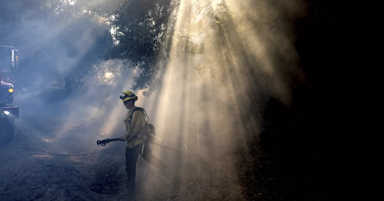 Contained, extinguished and mopping up: Here's what some common wildfire terms mean