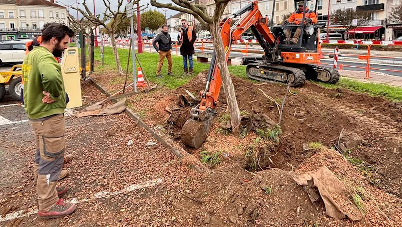 Villeneuve-sur-Lot : les arbres arrachés pour déménager quelques mètres plus loin