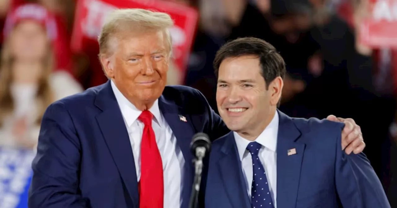 Donald Trump elige al senador Marco Rubio como secretario de Estado, reporta NYT