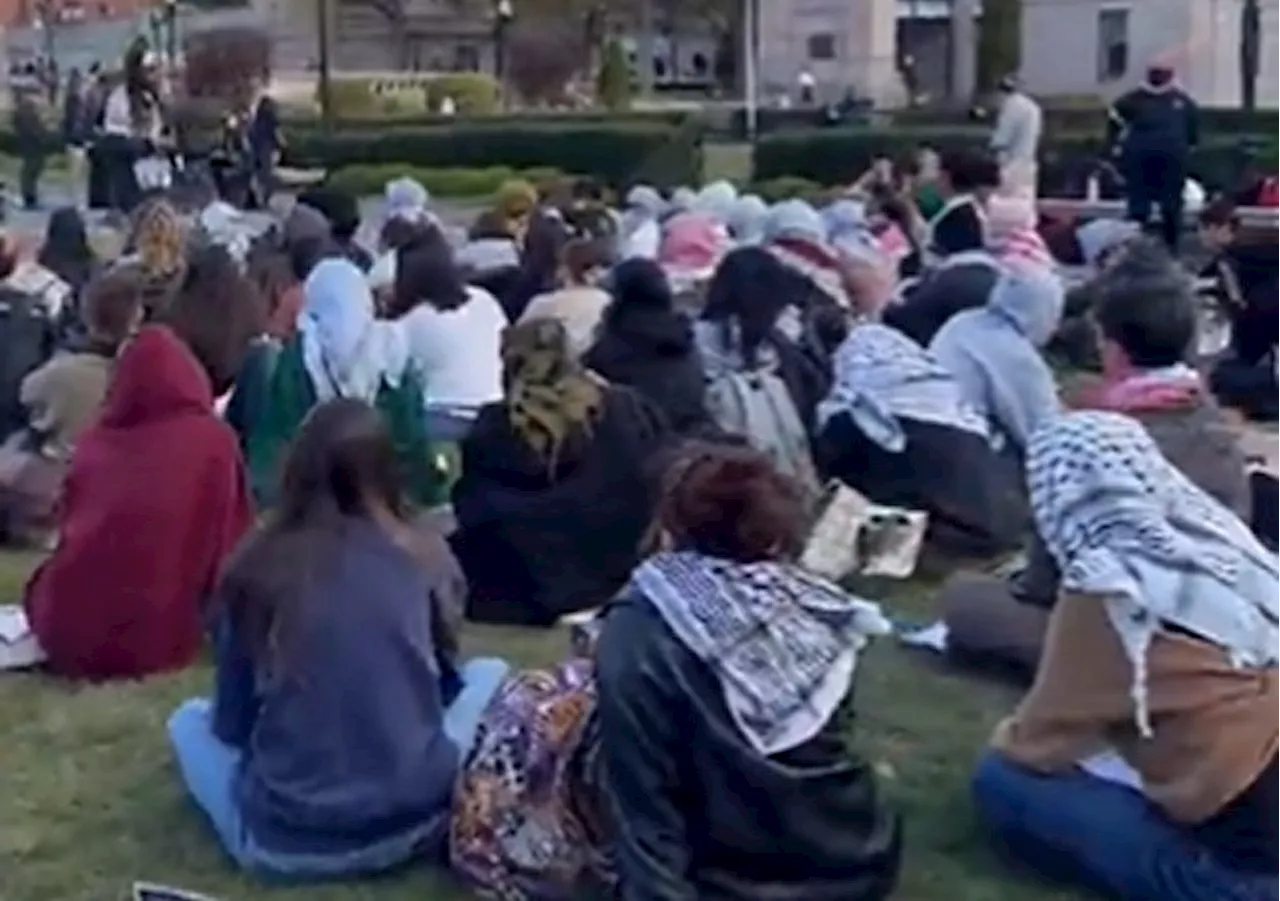 Columbia University Students Spent Veterans Day Honoring Terrorists