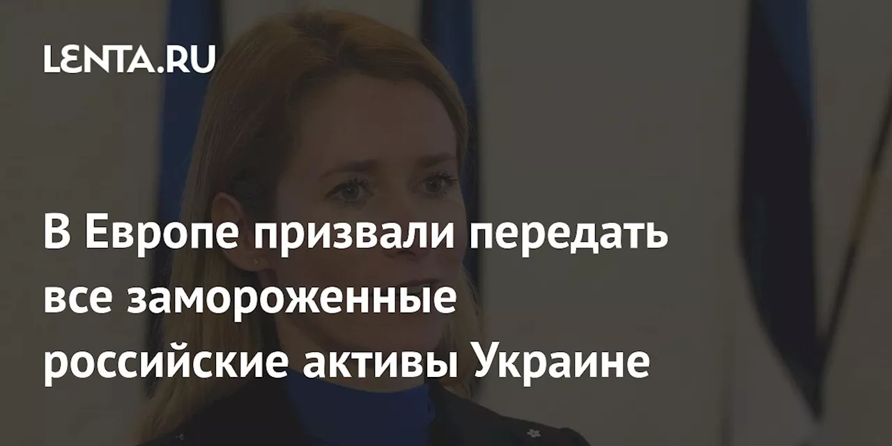 В Европе призвали передать все замороженные российские активы Украине