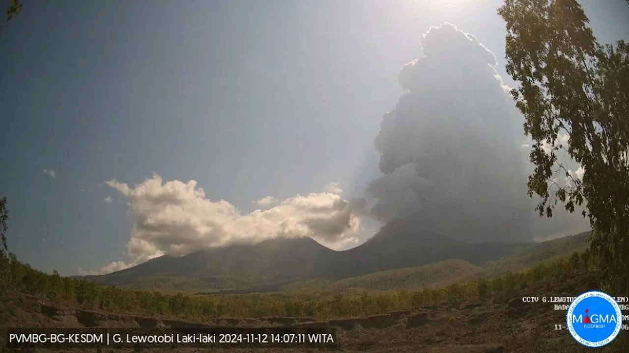 Gunung Lewotobi Laki-Laki Meletus Dahsyat Lagi, Kolom Abu Menyeruak Setinggi 9.000 Meter